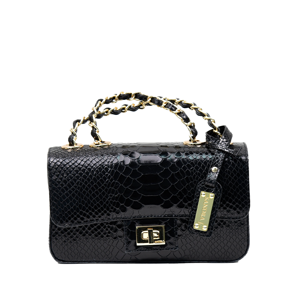 Chloe Handbag