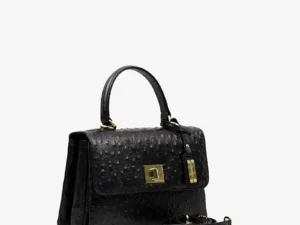 amilia black ostrichh