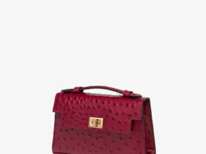 joy mini. burgundy webp