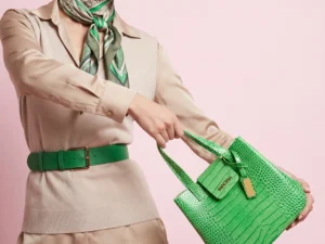 sandra j Ara handbag