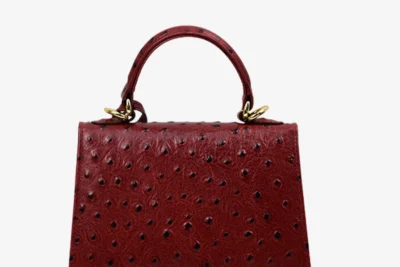 sophie-mini-burgundy-scaled