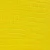 lizard yellow