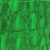 crocodile green
