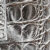 crocodile silver
