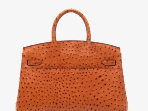 zina big ostrich .orange.3