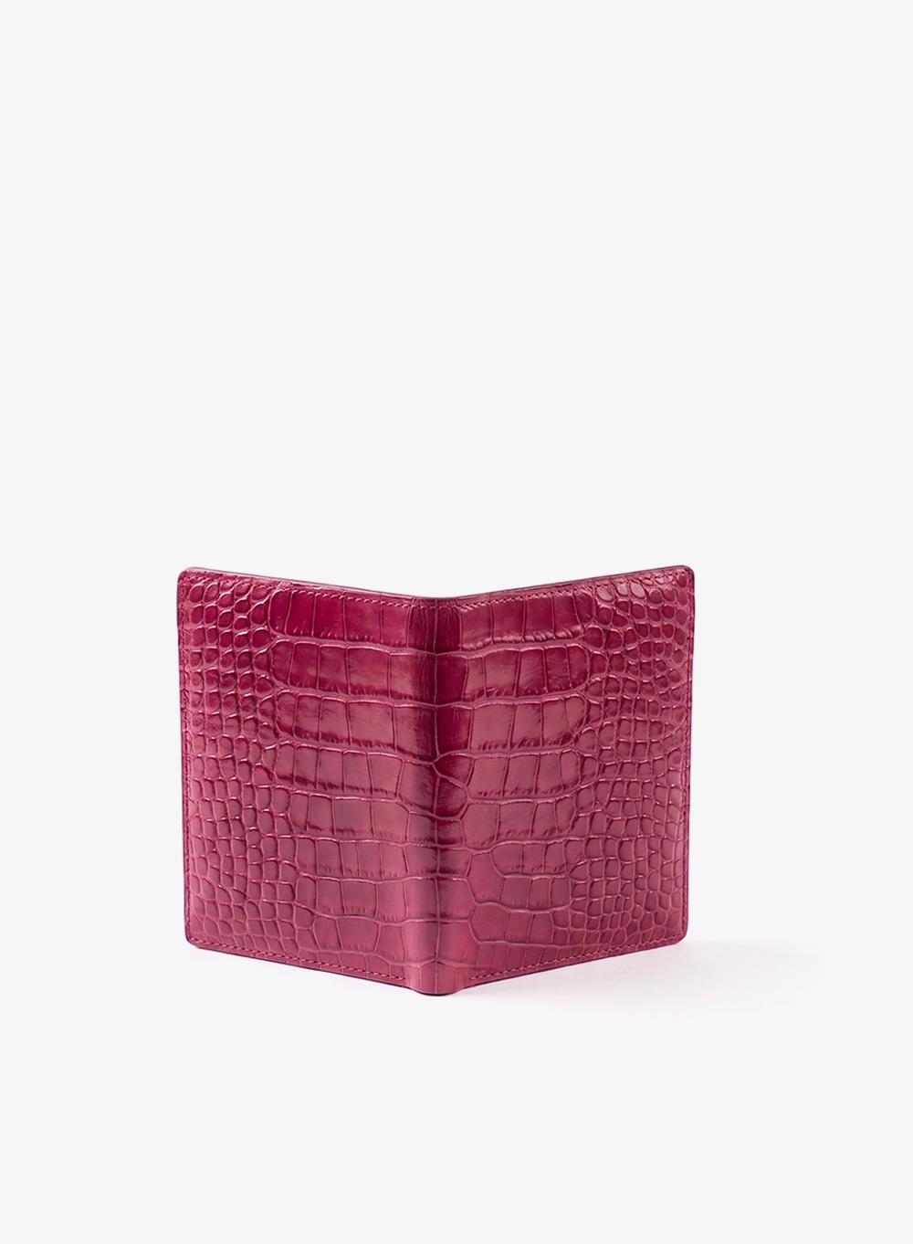 Women Passport Holder